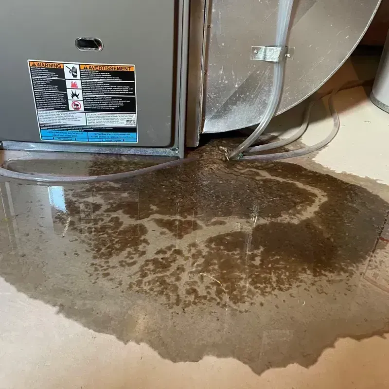 Appliance Leak Cleanup in Berlin, WI